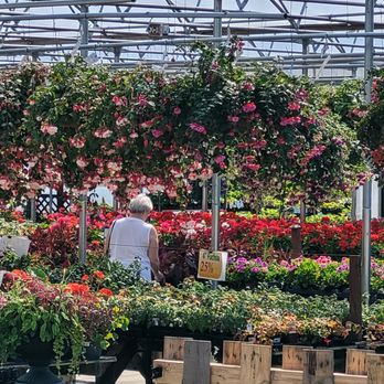 Windmill Gardens - Windmill's famous hanging baskets and annuals at our Riverside Dr E location. - Nurseries & Gardening Near Me - Sumner, Washington Windmill Gardens - Windmill's famous hanging baskets and annuals at our Riverside Dr E location. - Nurseries & Gardening Near Me - Sumner, Washington