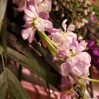 A Bella Mia Flowers - Florists Near Me - Norwood, Massachusetts