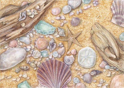 Mirabela Studio of Music and Art