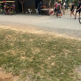 $20 Bike rental $20 Bike rental
