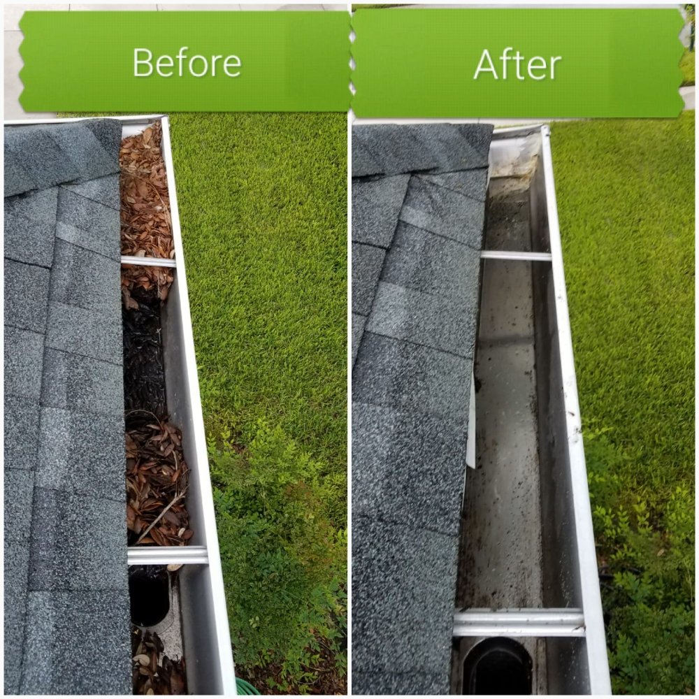 Studs Gutters: Affordable Gutter Cleaning & Guard Installation Experts ...