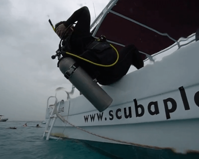 SCUBA PLAYA Col. Centro, Playa del Carmen, Quintana Roo, Mexico Scuba Diving Phone Number