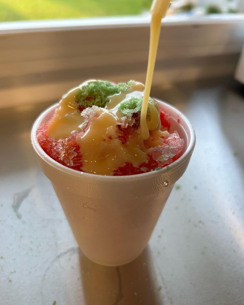 FROSTEE GATOR SHAVE ICE Fort Myers, Florida Food Trucks Phone