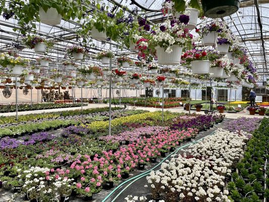 Comisky's Greenhouses