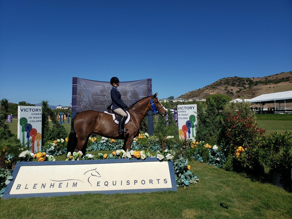 GLADSTONE EQUESTRIAN 37 Photos & 16 Reviews 26282 Oso Rd, San Juan