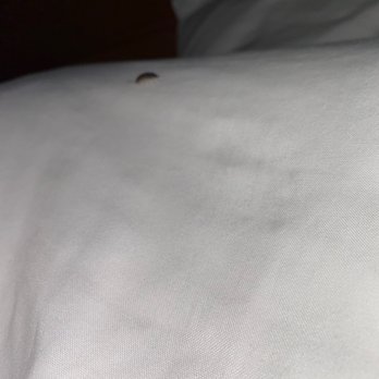 Oceanfront Lodge - Bugs on the pillows and bed - Hotels Near Me - Crescent City, California Oceanfront Lodge - Bugs on the pillows and bed - Hotels Near Me - Crescent City, California