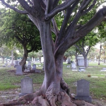 City Cemetery - Landmarks & Historical Buildings Near Me - Miami, Florida City Cemetery - Landmarks & Historical Buildings Near Me - Miami, Florida
