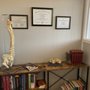 Photo of Bellinger Chiropratic