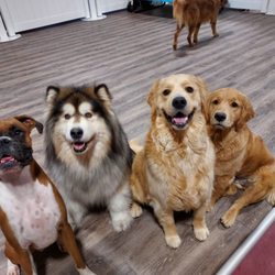 K-9 Kountry