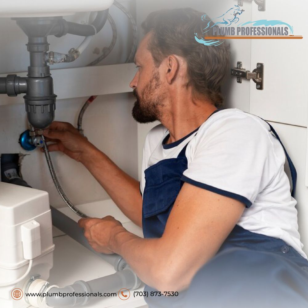 Slide of Plumb Professionals