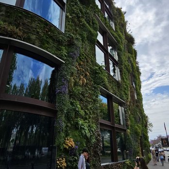 Musée du Quai Branly - Jacques Chirac - Vertical Garden ;) - Museums Near Me - Paris, 75 Musée du Quai Branly - Jacques Chirac - Vertical Garden ;) - Museums Near Me - Paris, 75