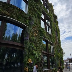 Musée du Quai Branly - Jacques Chirac - Vertical Garden ;)