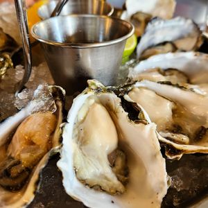 415 Area Code Forever