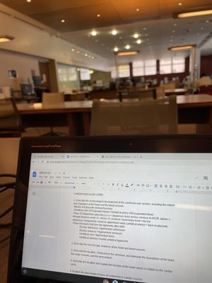 San Diego Law Library by null