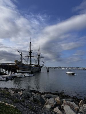 Plymouth Rock by null