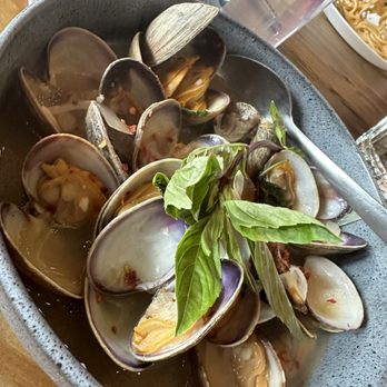 Amazing Basil - Asian Fusion Near Me - Fremont, California Amazing Basil - Asian Fusion Near Me - Fremont, California