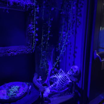 Casa Loma - Museums Near Me - Toronto, Ontario