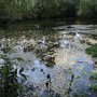 Photo of Salzaspring / Salzaquelle