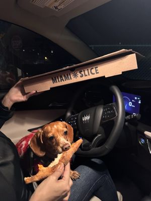 Miami Slice by null