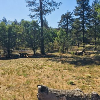 Mount Laguna Campground - Campgrounds - Campgrounds Near Me - Mount Laguna, California