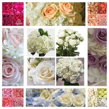PETALS ON THE TRAIL - Florists Near Me - Edmonton, Alberta