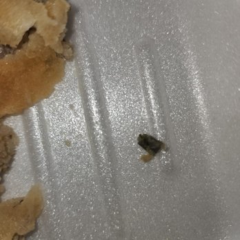 Pho Viet Number one - Hard piece of plastic or metal in eggroll - health hazard and disgusting - Vietnamese Near Me - Norcross, Georgia Pho Viet Number one - Hard piece of plastic or metal in eggroll - health hazard and disgusting - Vietnamese Near Me - Norcross, Georgia