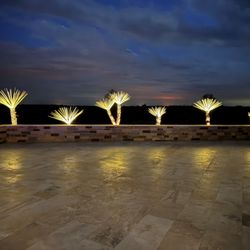 Southern Lawn and Landscapes