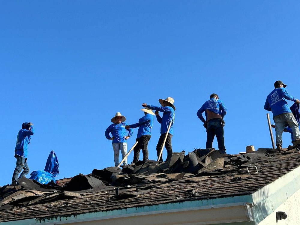 Slide of DNA Roofing