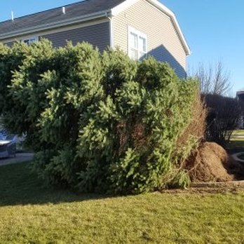 Kramer Tree Specialists - Tree Services Near Me - West Chicago, Illinois