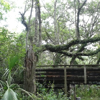A.D. Barnes Park - Parks Near Me - Miami, Florida