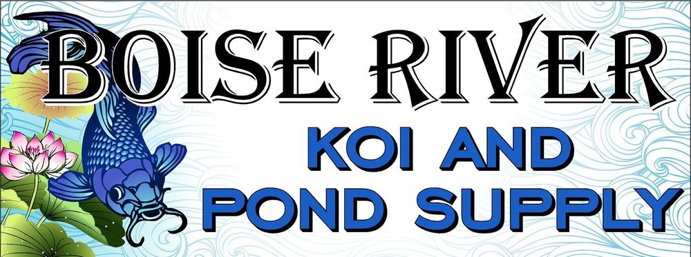 Boise River Koi and Pond Supply - koi in Boise, ID