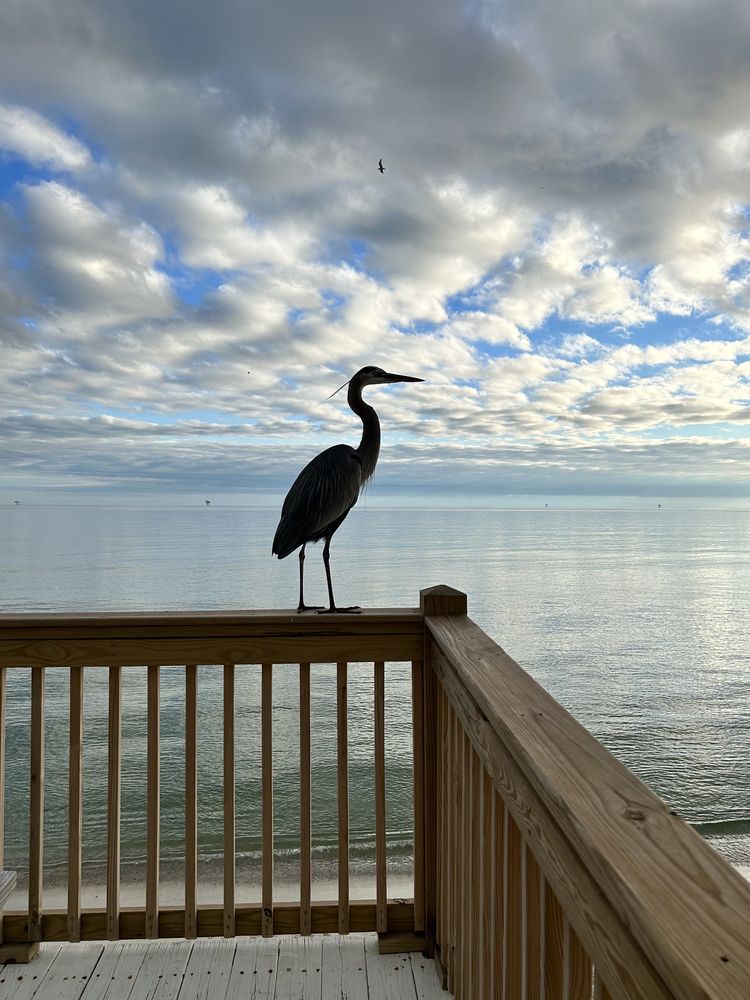 Dauphin Island West End Beach