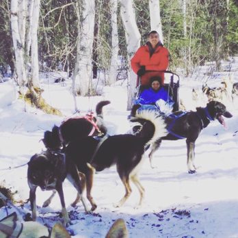 Alaska Mushing School - Tours Near Me