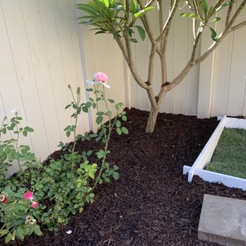 Johnny Olivas Gardening - Gardeners Near Me