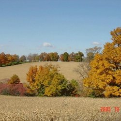 Waymark Farms - Photo