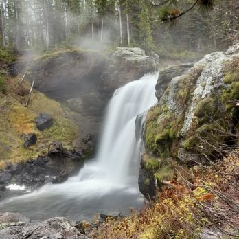 Jackson Hole Wildlife Safaris - Tours Near Me - Jackson, Wyoming