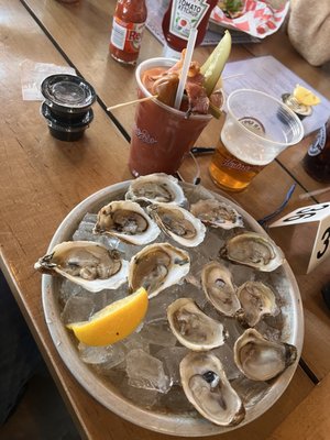 Cedar Springs Brewing Company by null