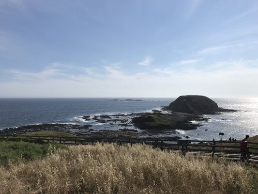 Nobbies Centre by null