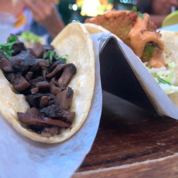Don Tito - Hongos Taco and Fried Avocado Taco - Mexican Near Me - Arlington, Virginia Don Tito - Hongos Taco and Fried Avocado Taco - Mexican Near Me - Arlington, Virginia