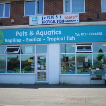 reptile shop erdington