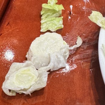 Panini Kabob Grill - 2 pieces of the inedible end of the lettuce. - Middle Eastern Near Me - Northridge, California Panini Kabob Grill - 2 pieces of the inedible end of the lettuce. - Middle Eastern Near Me - Northridge, California