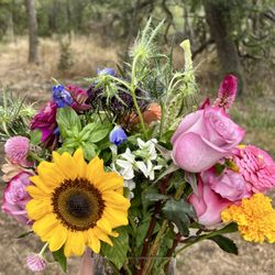 American Woman Flowers - sunny and fresh!
