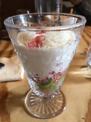 Somiatruites by null