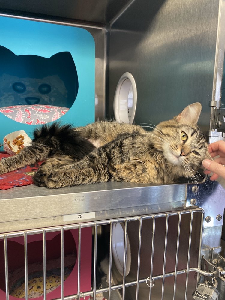 YELLOWSTONE VALLEY ANIMAL CENTER 1735 Monad Rd, Billings, Montana