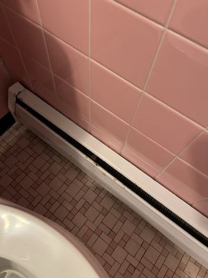 Starlite Motel by null