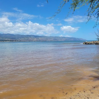 Aloha Circle Island Tours - Swimming with the turtles! Great beach! Not crowded and super clean. - Snorkeling Near Me - Honolulu, Hawaii Aloha Circle Island Tours - Swimming with the turtles! Great beach! Not crowded and super clean. - Snorkeling Near Me - Honolulu, Hawaii