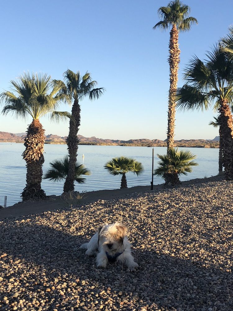 ISLANDER RV RESORT 43 Photos & 45 Reviews 751 Blvd