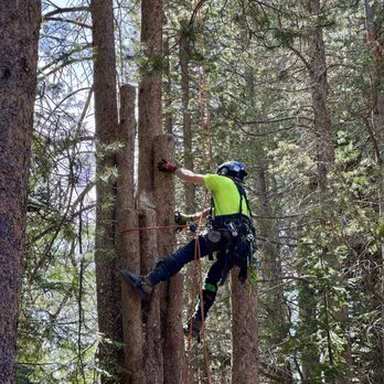 Lifted Roots Tree Service - Tree Services Near Me
