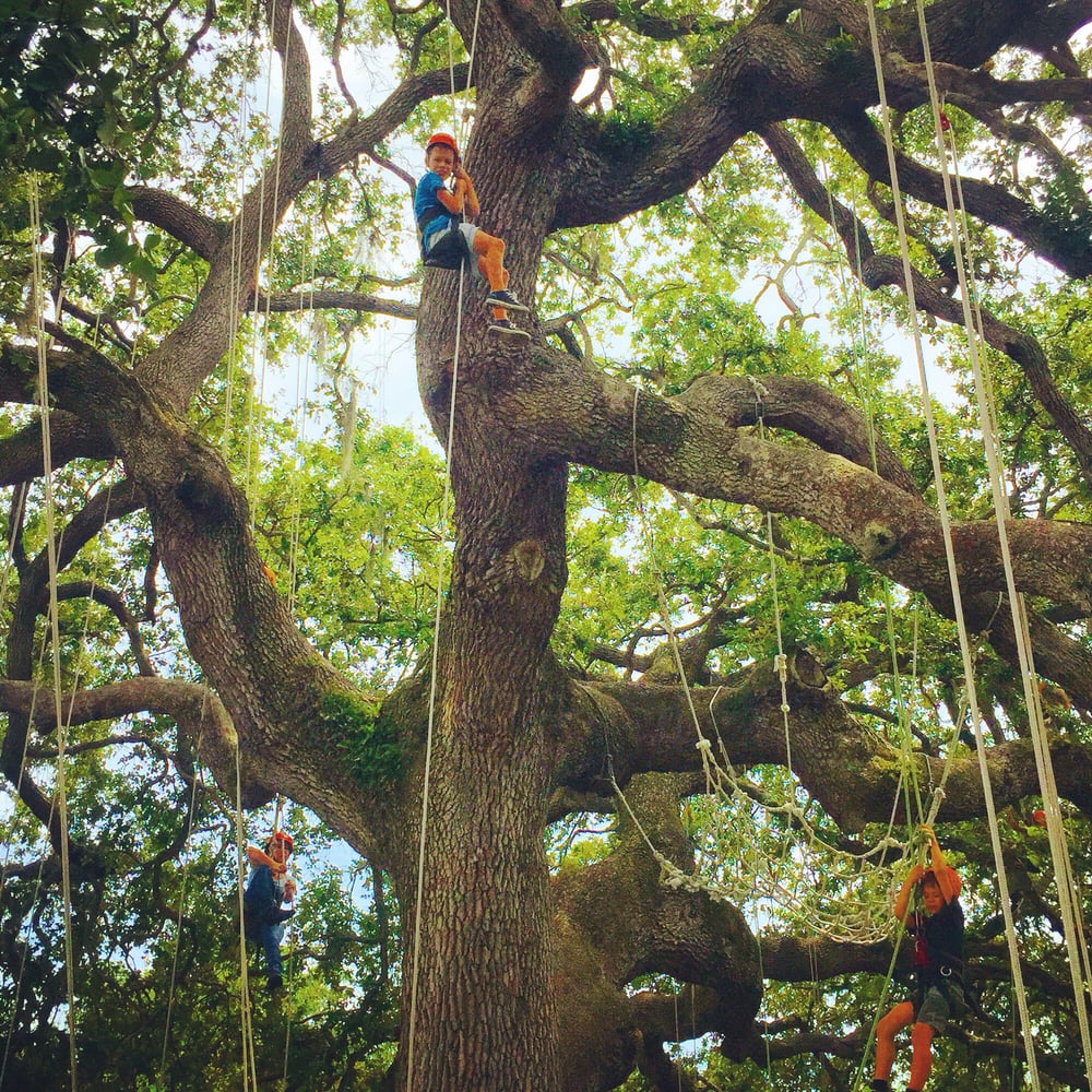 Pathfinder Outdoor Education - social services organization in Saint Petersburg, FL