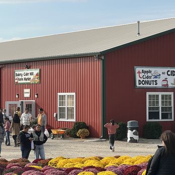 All Seasons Orchard - Cider, donuts, kitchen, fresh picked apples to buy - Pumpkin Patches Near Me - Woodstock, Illinois All Seasons Orchard - Cider, donuts, kitchen, fresh picked apples to buy - Pumpkin Patches Near Me - Woodstock, Illinois